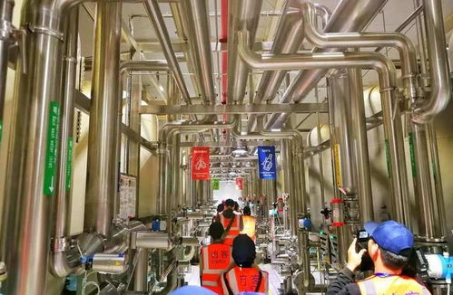百威雪津 世界級智慧低碳工廠，黑科技護航啤酒誕生之旅與接待業(yè)務(wù)