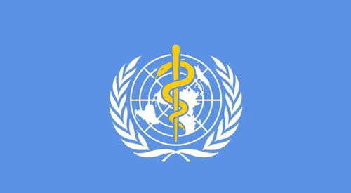 世衛組織最新公布，徹底顛覆認知